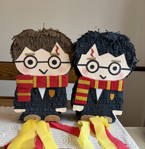 Harry potter pinata party - potter,