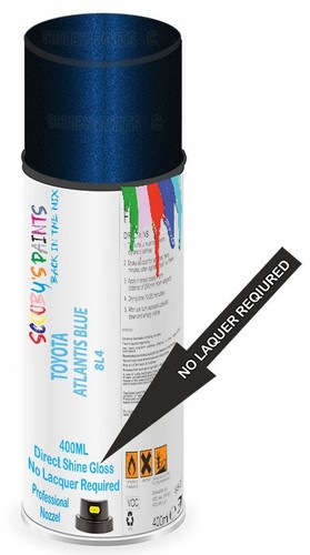 Direct shine paint - shine,