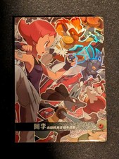 Pokémon Non TCG - Chinese Eif