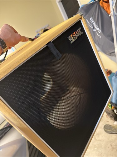 1x12 extension guitar - extension, speaker