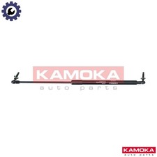 GAS SPRING BOOTCARGO AREA