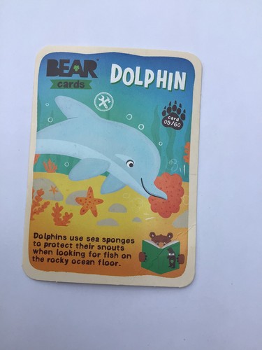Yoyo bear card - dolphin, 05/60