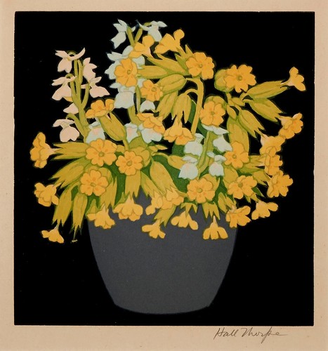 John hall thorpe - hall, cowslips