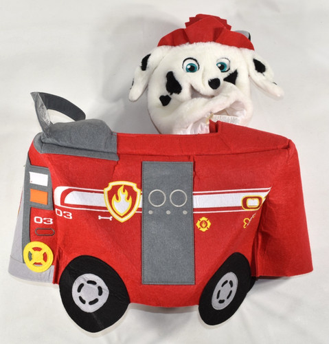 Pottery barn kids paw - kids,