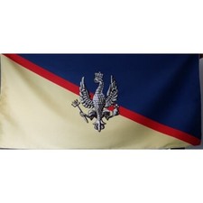 14th/20th Kings Hussars Micro