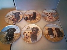  Labrador Puppies Plates Set X