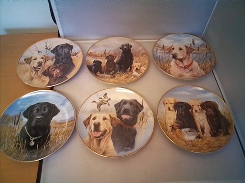 Labrador puppies plates - ,