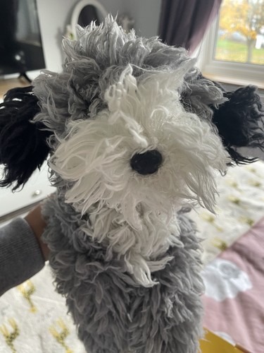 Tukker dog with box - aa,