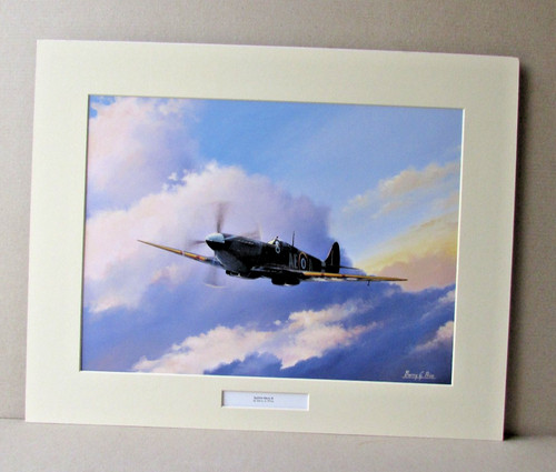 Barry price spitfires mk - barry,