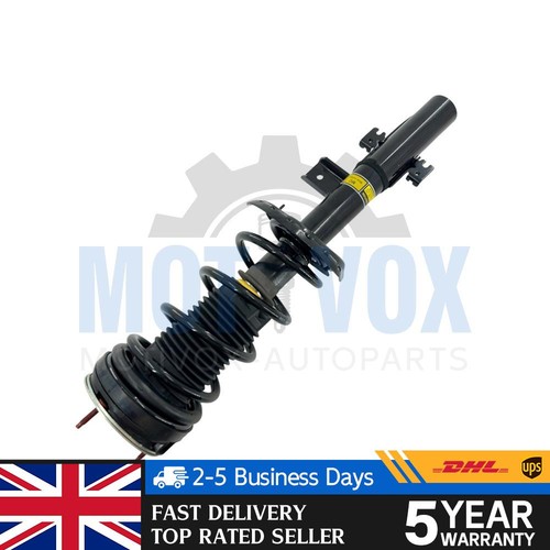 Rear left shock strut - strut, assembly