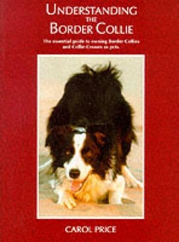 Understanding the border - understanding,
