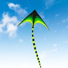 Yongjian Large Delta Kite for