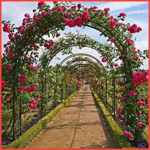 Heavy duty metal garden arch - duty,