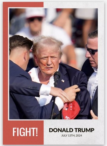 Donald trump the shot - shot, missed