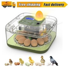 Incubators for Hatching Eggs