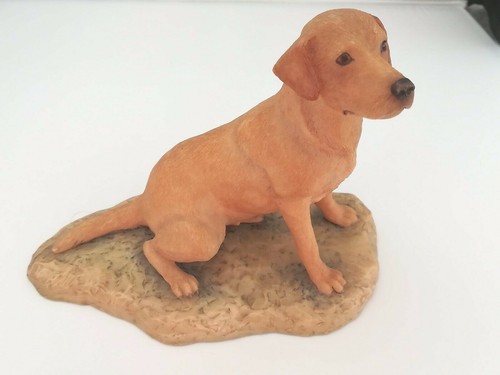 Border fine arts labrador - fine,