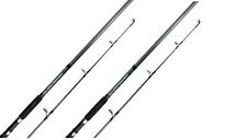 2 X Sea Hawk Sea Fishing Surf Beach Beachcasting Rods 12 ft Carbon Lineaeffe