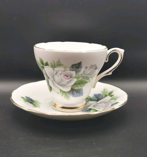 Royal sutherland white rose - ,