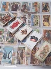 John Player & Son: 1900s-1930s