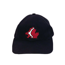 Cacva canadian association - cacva, of