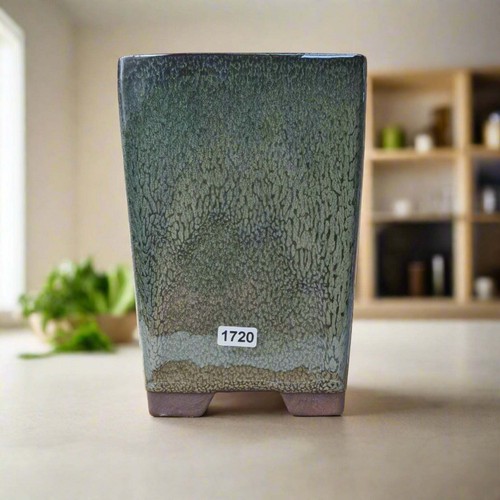 13cm glazed bonsai - bonsai, pot