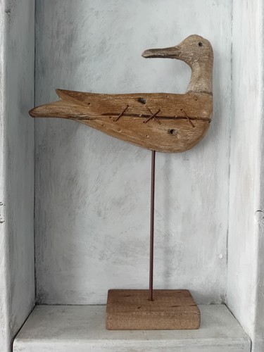 Driftwood sea bird wooden - sea,