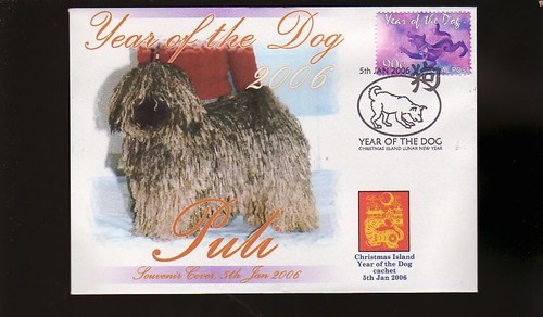 Hungarian puli 2006 year - puli, c/i