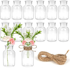 12 PCS Flower Vase Set, Small