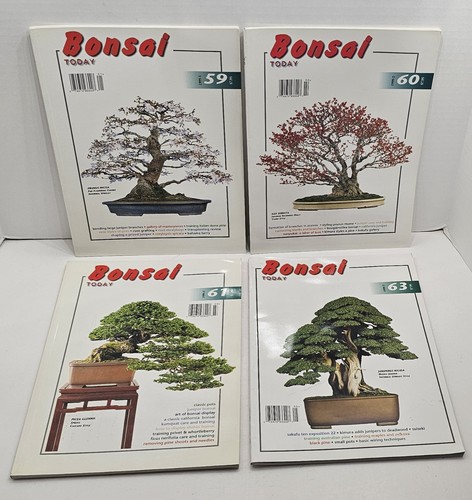 Bonsai today magazine - today, lot