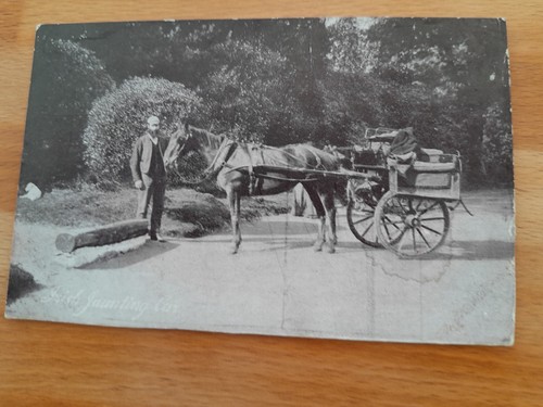 Irish jaunting car 36491