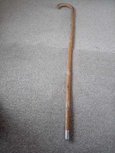 Horse measuring walking stick - horse,