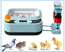 OUYOLAD Egg Incubators for