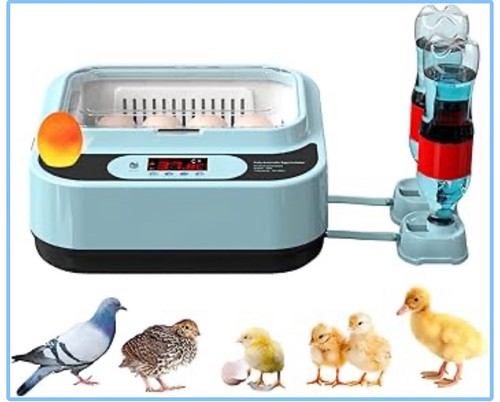 Ouyolad egg incubators for - ouyolad,