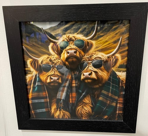 Highland cows black - 3, frame