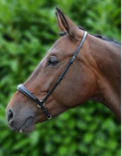 Hy Equestrian Padded Drop Nose
