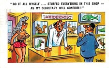 Taxidermist I've Stuffed Everything in This Shop Sunny Pedro 182 Comic PC Z68