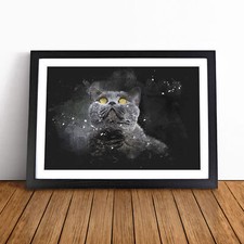 British Shorthair Cat in the Shadows Framed Canvas Wall Art Print Poster Picture