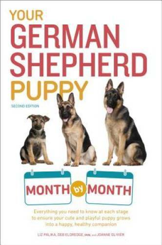 Your german shepherd puppy - shepherd,