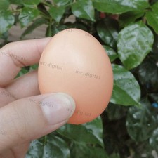 5Pcs Fake Dummy Egg Hen