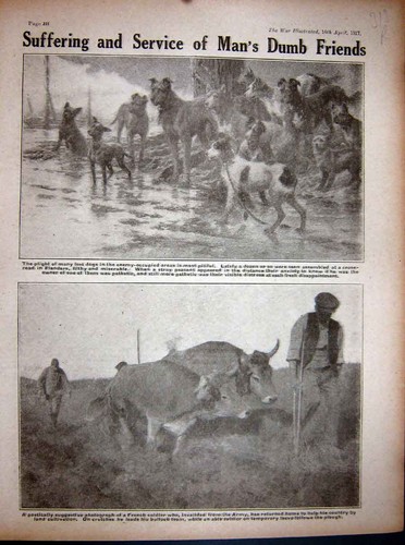 Old vintage print - vintage, 1917