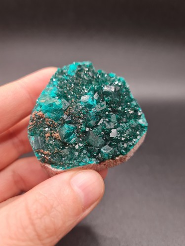 Dioptase specimen from congo - dioptase,