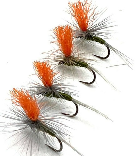 Trout fly fishing dry flies - dry, hi