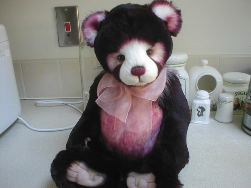 Charlie bears black forest - bears,