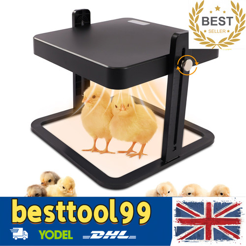 Chick brooder heat - brooder/heat,