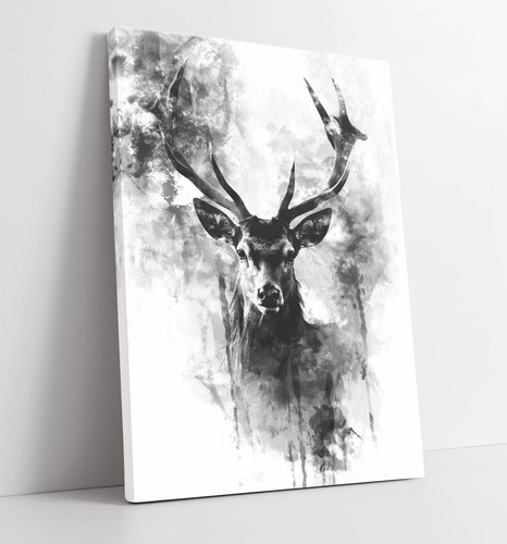Black and white stag animal - white,