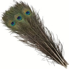 20pcs Long Natural Peacock