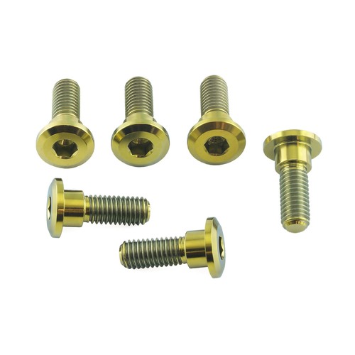 Titanium disc bolts - disc,