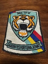 Vintage USAF 366th Tactical