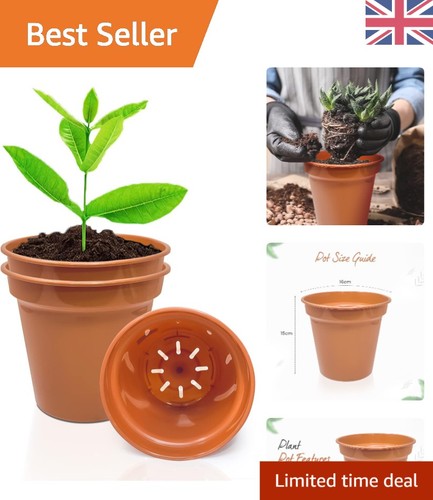 Elegant inch terracotta - elegant,