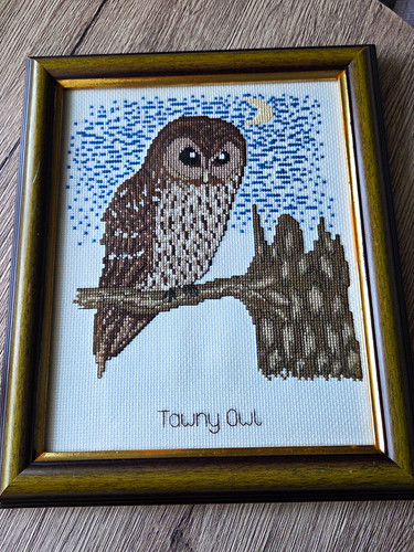 Framed finished cross stitch - framed,